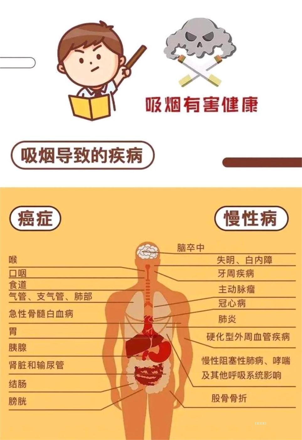 吸烟导致的疾病.jpg