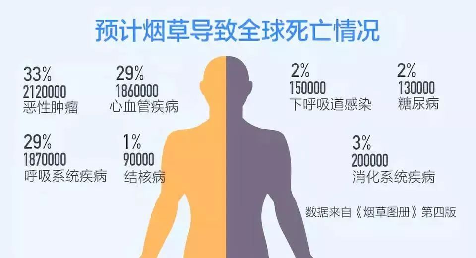 956e768c43da9102eaa47df7670031b1bd3545c7.jpg 956e768c43da9102eaa47df7670031b1bd3545c7.jpg