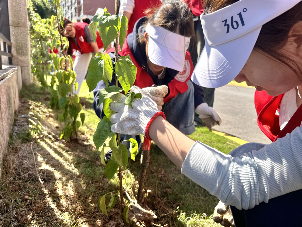 新闻稿照片2.png 新闻稿照片2.png